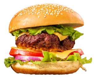 burger5